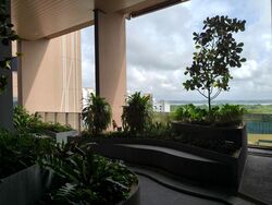 Pasir Ris Central (D18), Condominium #570995941